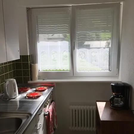 Spacious 1-bedroom Apt With A Breathtaking View 公寓 洛伊克巴德